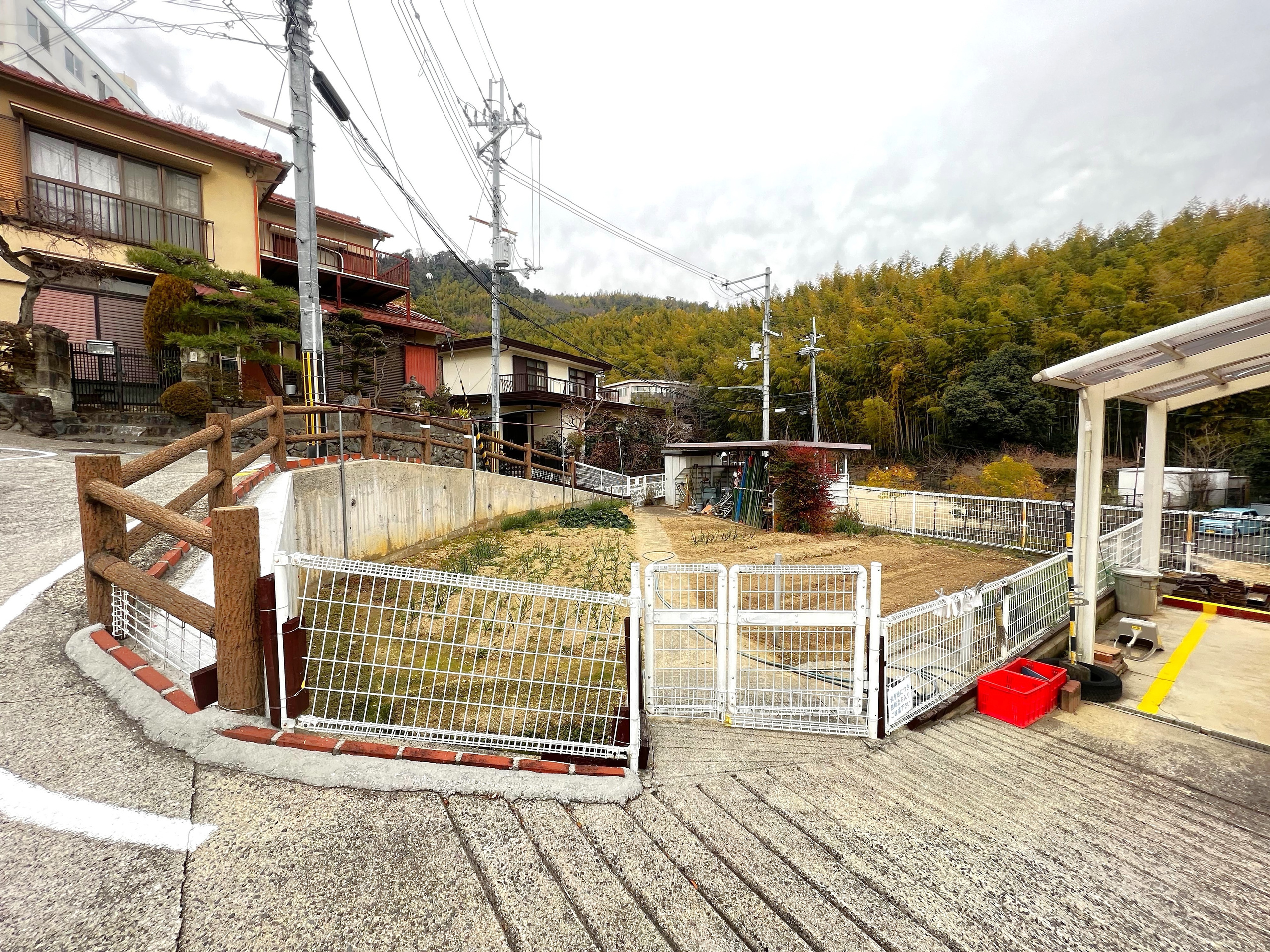 現地写真2